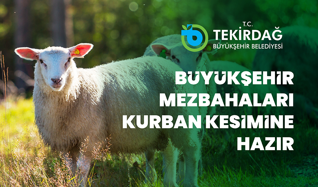 Kurban kesimlerine hazır