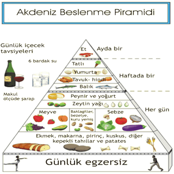 ÖMÜR UZATAN DİYET